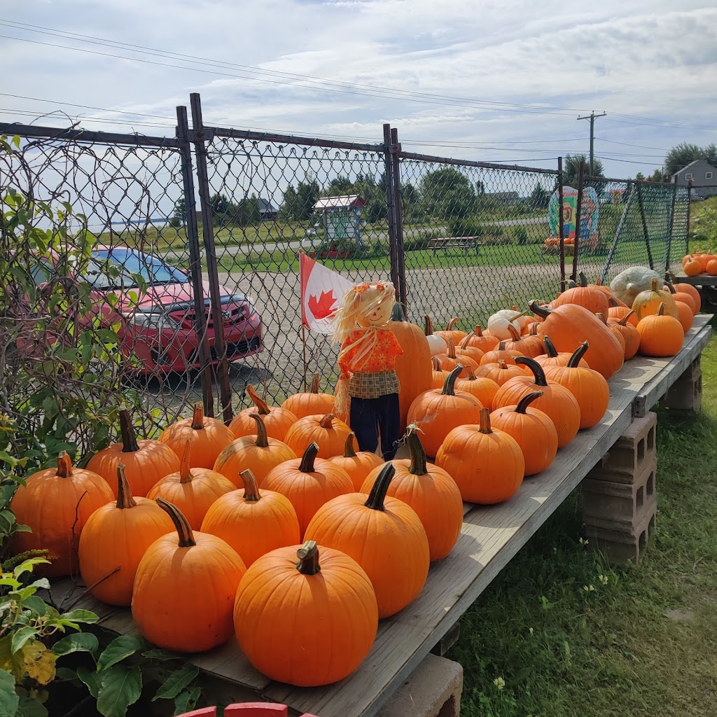 La Ferme Michaud Ltée. / Michaud Farm Ltd. | 739, NB-475, Baie de Bouctouche, NB E4S 4N9, Canada | Phone: (506) 743-6947