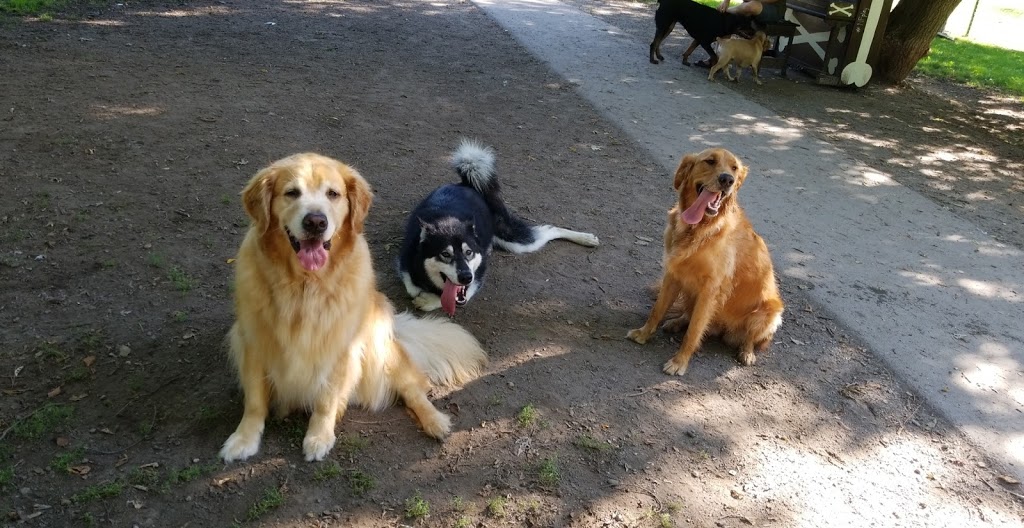 Niagara Falls Dog Park | 2275 Dorchester Rd, Niagara Falls, ON, Canada | Phone: (905) 356-7521 ext. 3330