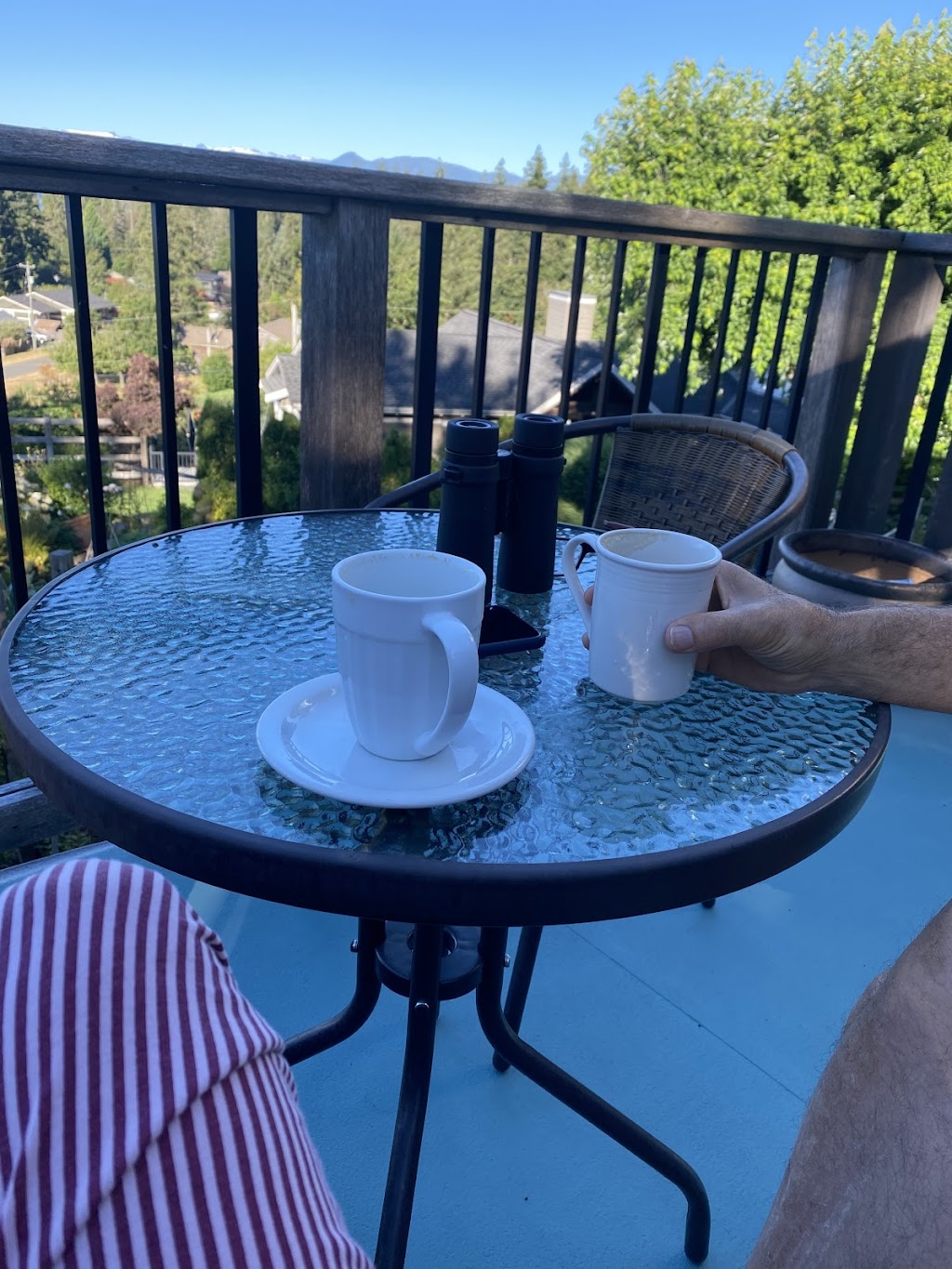 Mariners Lookout on Comox Bay | 122 Stafford St, Comox, BC V9M 3W7, Canada | Phone: (250) 898-9010