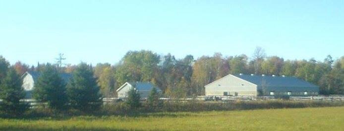 Spotacular farms | 4358 Holborn Rd, Mount Albert, ON L0G 1M0, Canada | Phone: (289) 716-4461