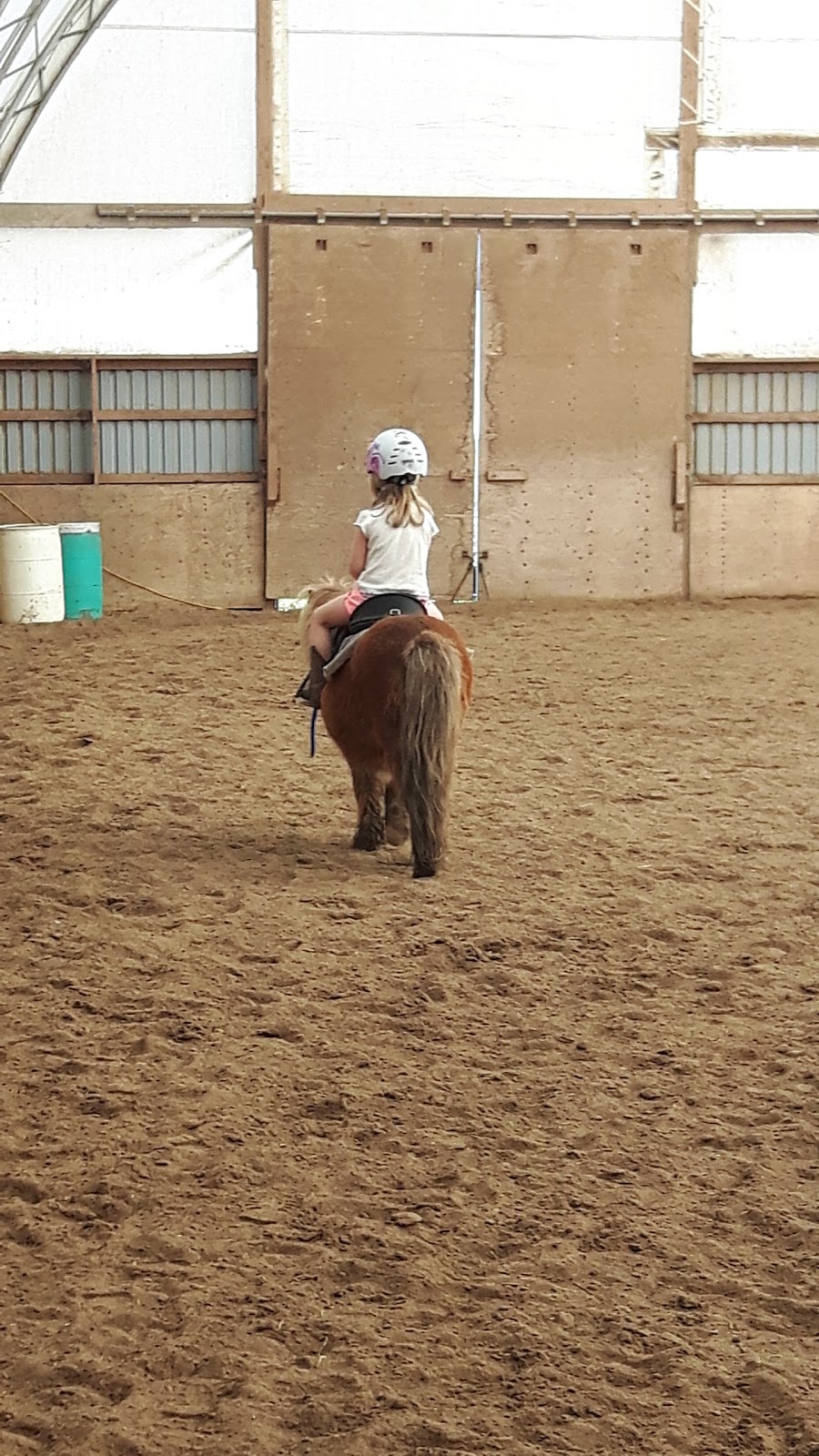 Run 2 You Stables | 1911 Erbs Rd, Baden, ON N3A 3M3, Canada | Phone: (519) 568-1471
