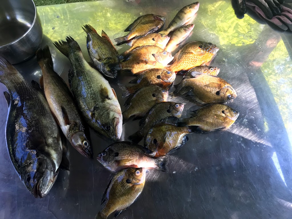 Lake Consecon Resort | 5430 Prince Edward County Rd 1, Consecon, ON K0K 1T0, Canada | Phone: (613) 399-5518