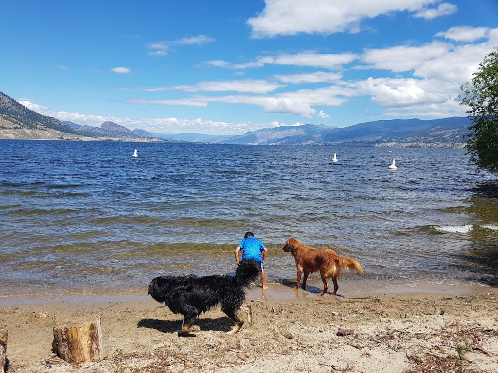 Okanagan Lake Park Dog Beach | 11-, 15 Ellis St, Penticton, BC V2A 4L4, Canada