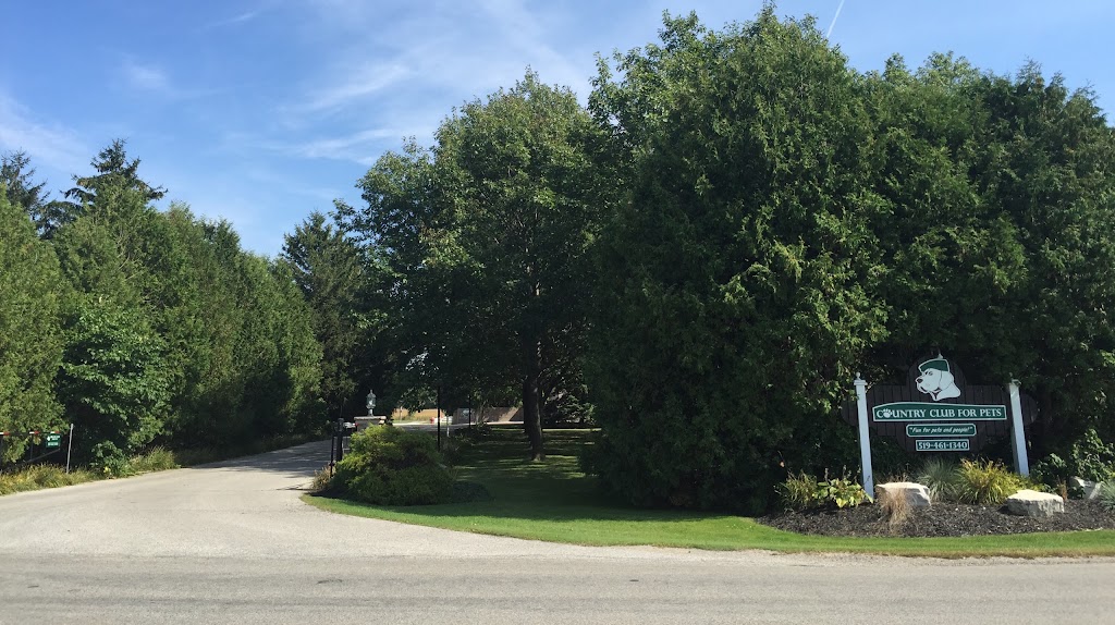 Country Club For Pets Ltd | 21690 Clarke Rd, Arva, ON N0M 1C0, Canada | Phone: (519) 461-1340