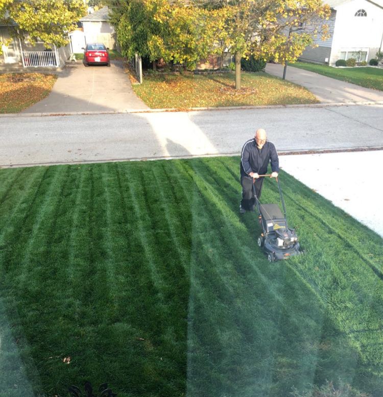 L & M Sod Farms Ltd. | 15511 Essex 8, Oldcastle, ON N0R 1L0, Canada | Phone: (519) 737-7214