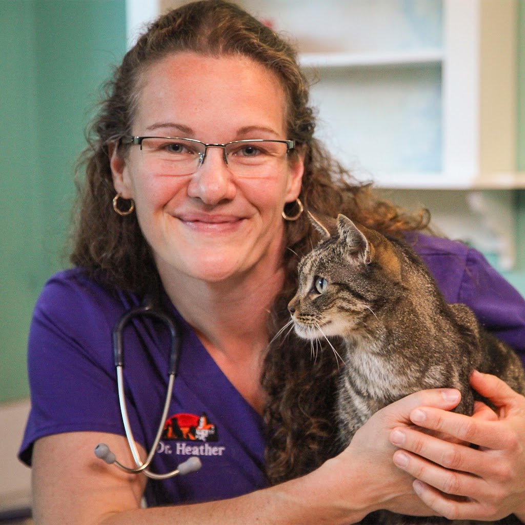 Queen Street Veterinary Services | 1004 Queen St, Kincardine, ON N2Z 1E3, Canada | Phone: (519) 396-3647