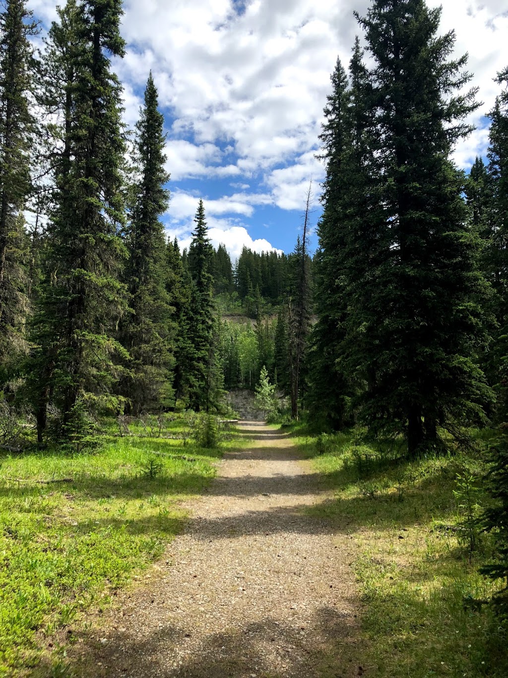 North Ghost Campground | Bighorn No. 8, AB T0L, Canada | Phone: (587) 830-2198