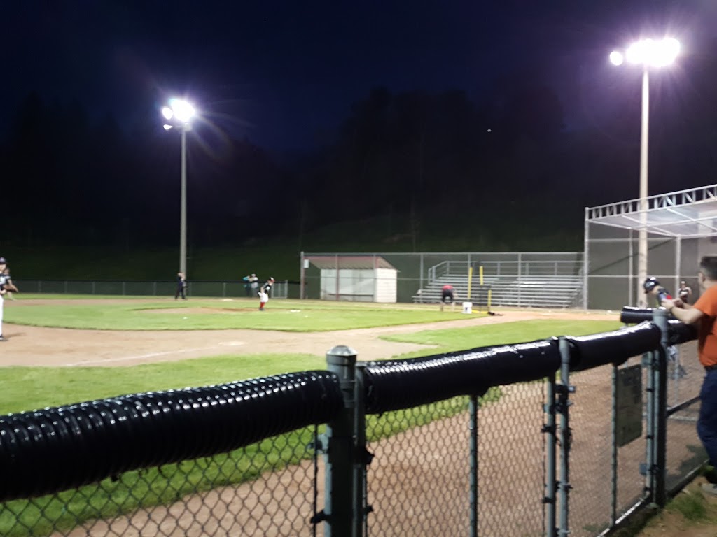 Little League Park | 286 Jerseyville Rd W, Ancaster, ON L9G, Canada | Phone: (905) 648-4244