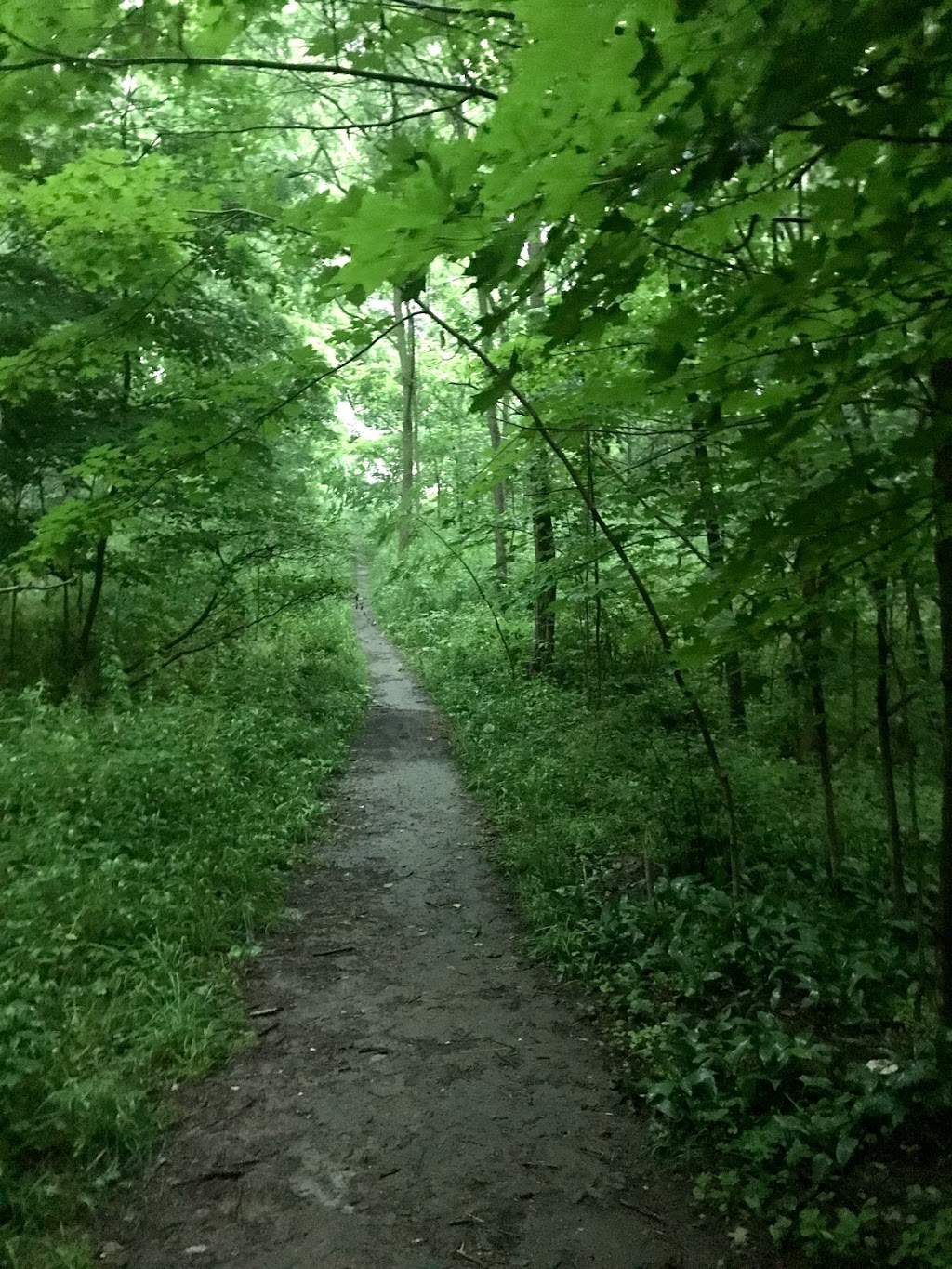 Chegwin Park | 23 Chegwin St, Dundas, ON L9H 2W4, Canada