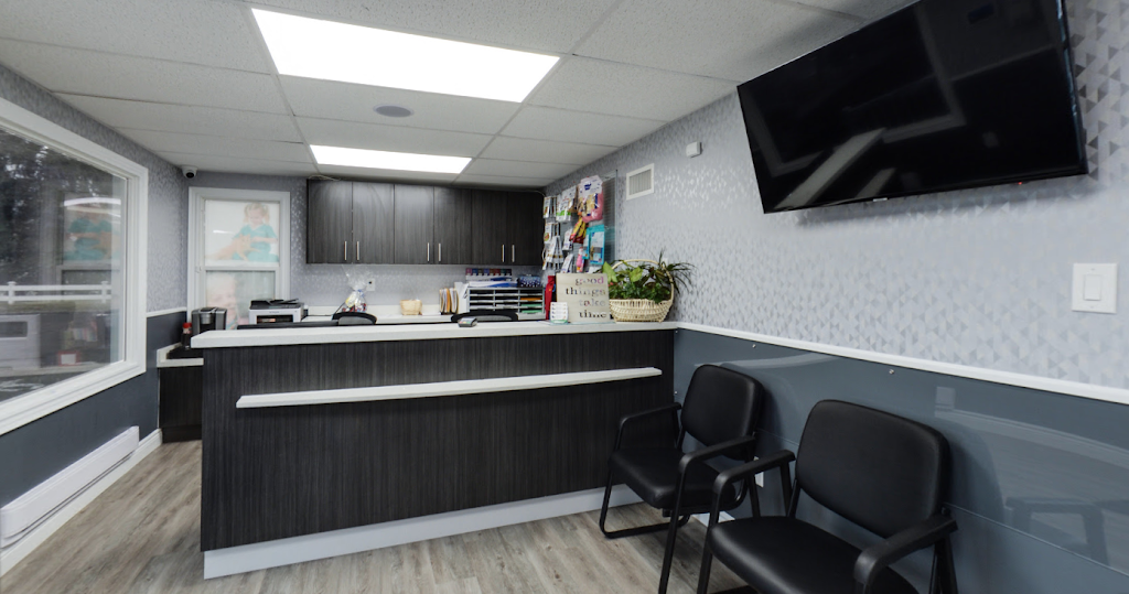 Burford Veterinary Hospital | 63 King St, Burford, ON N0E 1A0, Canada | Phone: (519) 449-1999
