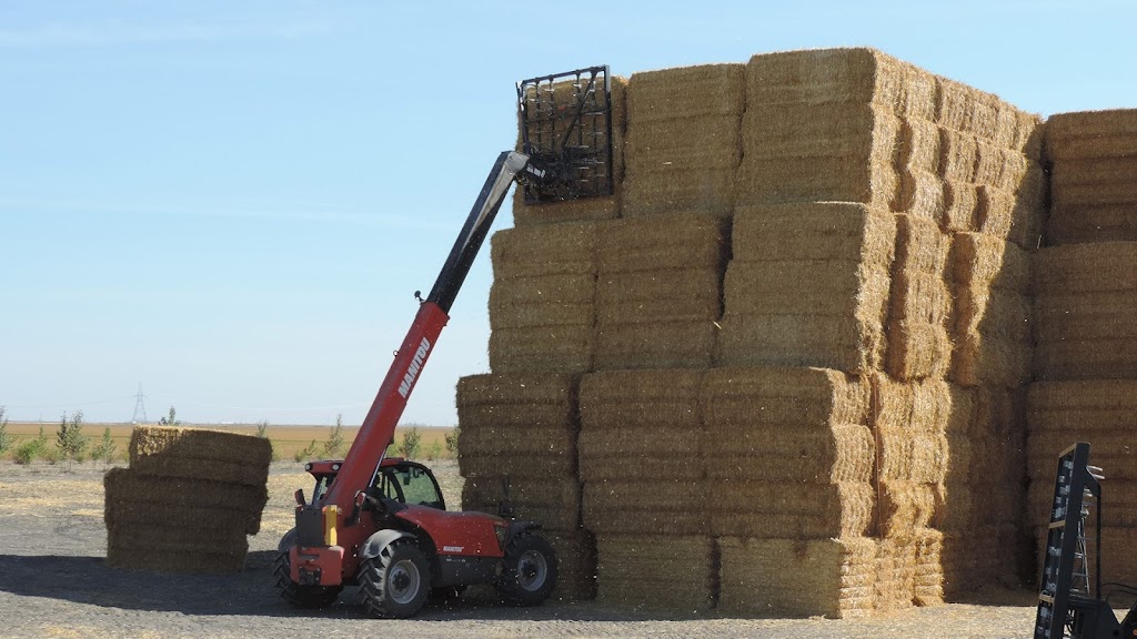 Kletke Hay & Straw | 36003 Rd 1 W, Brunkild, MB R0G 0E0, Canada | Phone: (204) 736-3334