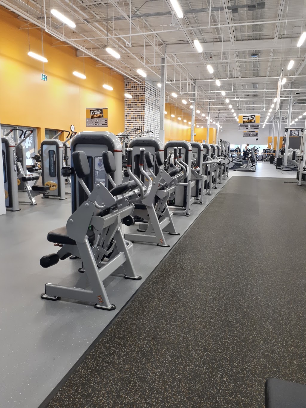 Fit4Less | 3365 Fairview St Unit 1B, Burlington, ON L7N 3N9, Canada | Phone: (905) 632-5121