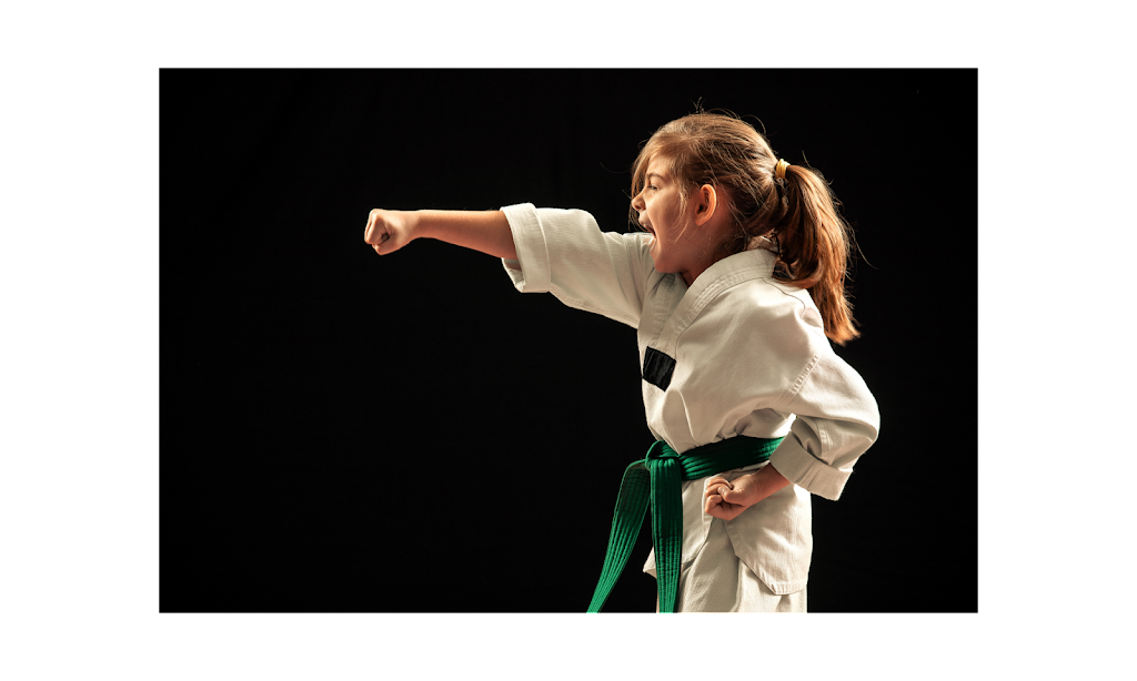 BVO Taekwondo Master Chong | Cougarstone Cir SW, Calgary, AB T3H 4W3, Canada | Phone: (403) 828-5571