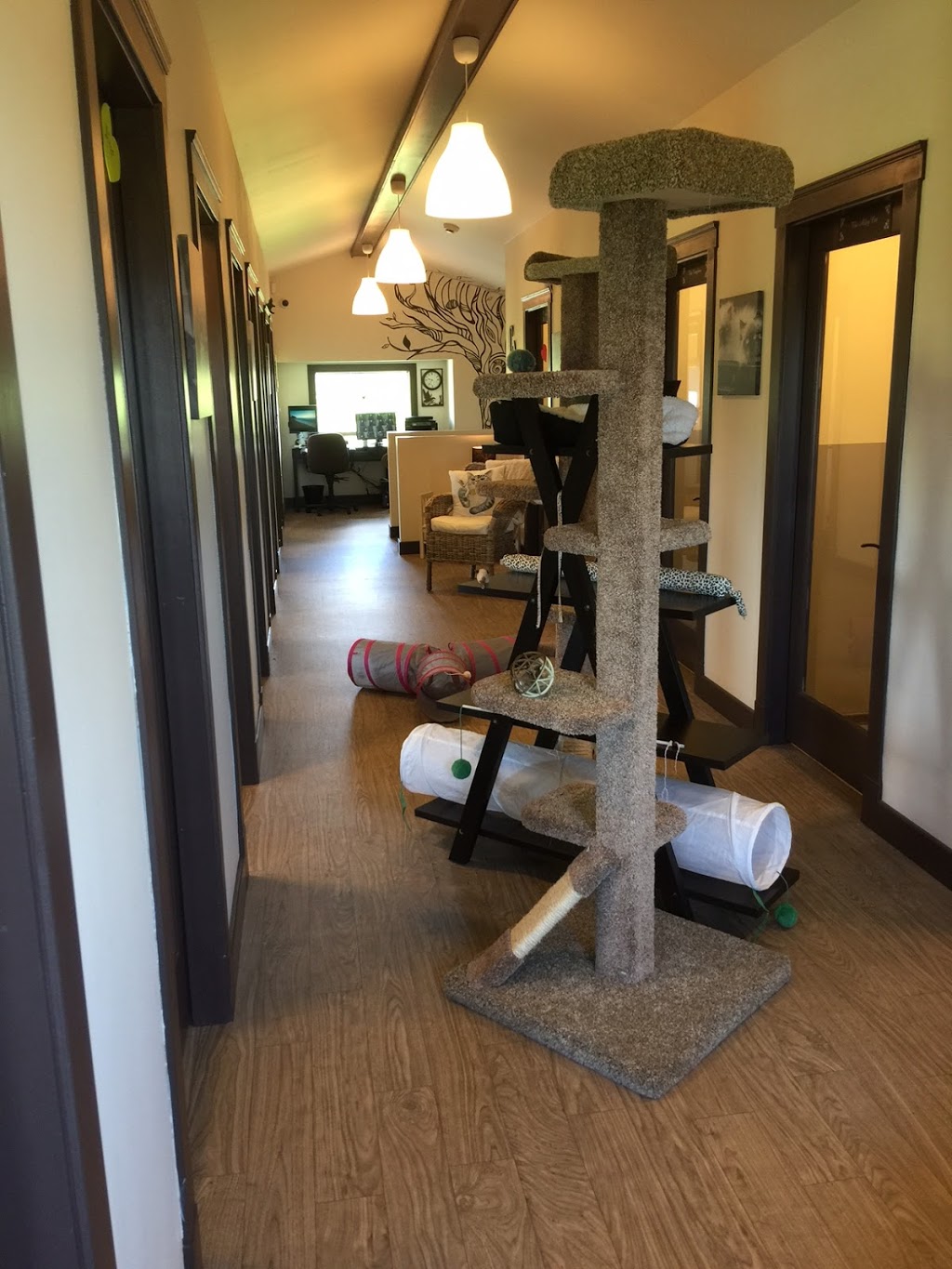 Alley Cats Country Inn | 19822 McNeil Rd, Pitt Meadows, BC V3Y 2T9, Canada | Phone: (604) 457-2287