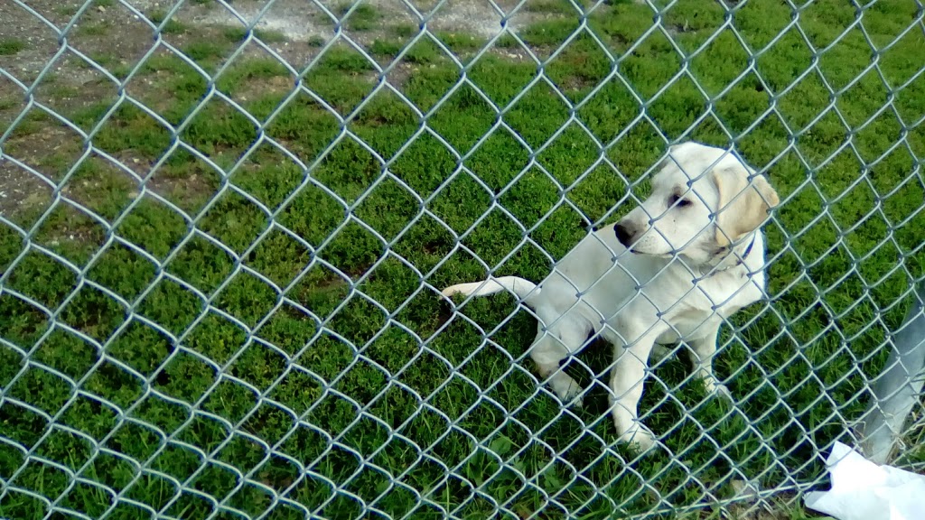 Gleeson Park Off-leash Dog Area | 25 Old Slys Rd, Smiths Falls, ON K7A 3M3, Canada