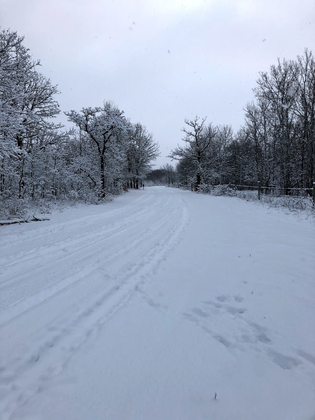 Roseau River Bible Camp | Road 12N, Driveway Marker 25159, Roseau River, MB R0A 1P0, Canada | Phone: (204) 427-2445