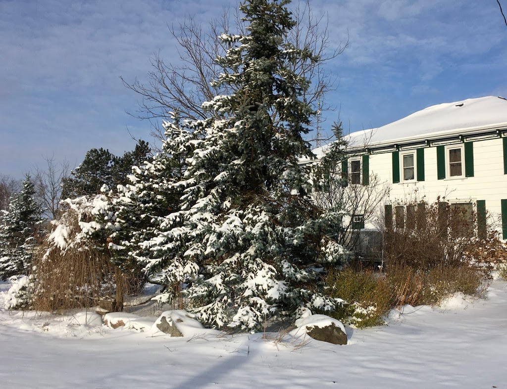 Our Family Guesthouse | 1033 Fish Lake Rd, Demorestville, ON K0K 1W0, Canada | Phone: (416) 930-0186
