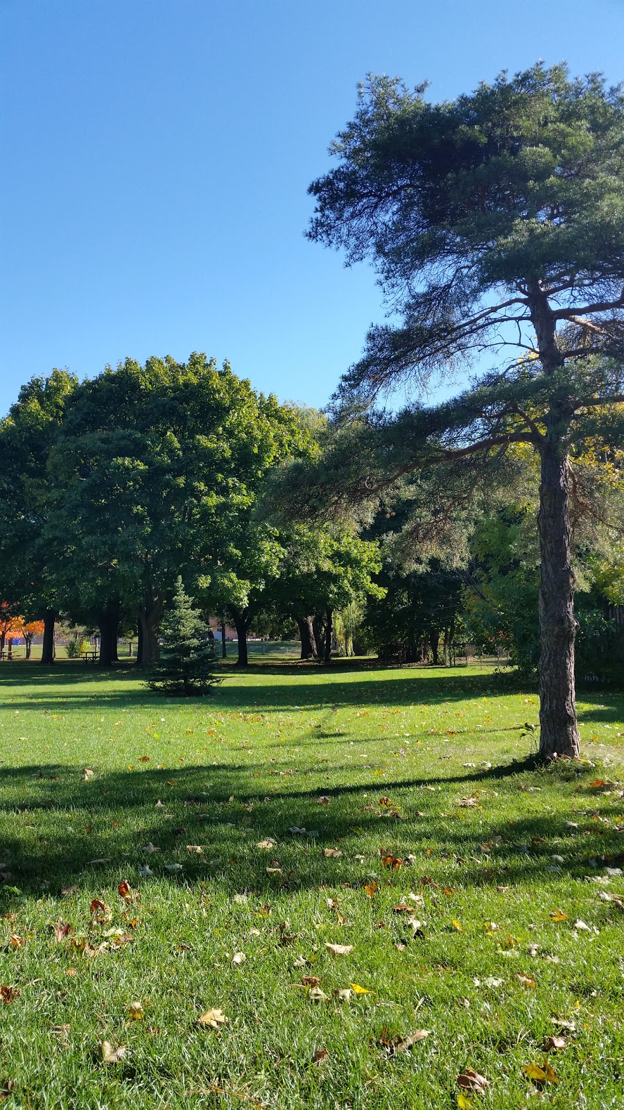 Ruddington Park | 75 Ruddington Dr, Toronto, ON M2K, Canada | Phone: (416) 338-4386