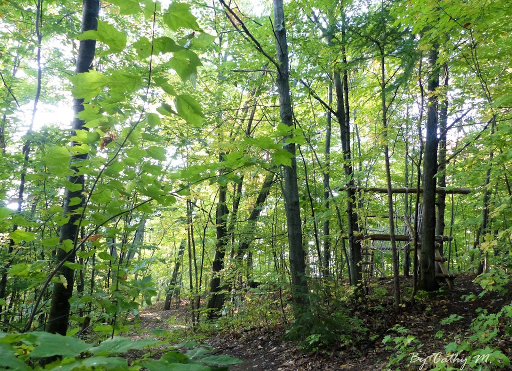 Plein Air Ville-Joie | 11441 Rue Notre Dame O, Trois-Rivières, QC G9B 6W5, Canada | Phone: (819) 377-3987