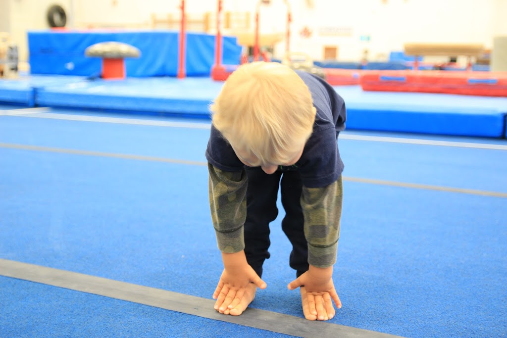 Gymnastics Mississauga | 5600 Rose Cherry Pl, Mississauga, ON L4Z 4B6, Canada | Phone: (905) 270-6161