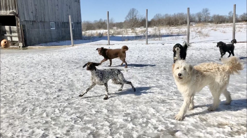 BFF, Prince Edward County | 1450 County Rd 19, Consecon, ON K0K 1T0, Canada | Phone: (647) 390-7257
