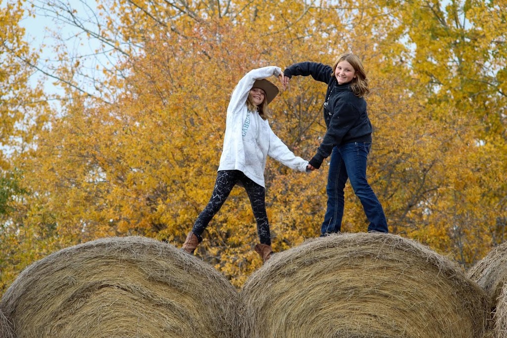 New Beginnings Equestrian Centre | 56327 Range Rd 13, Onoway, AB T0E 1V0, Canada | Phone: (587) 873-5381