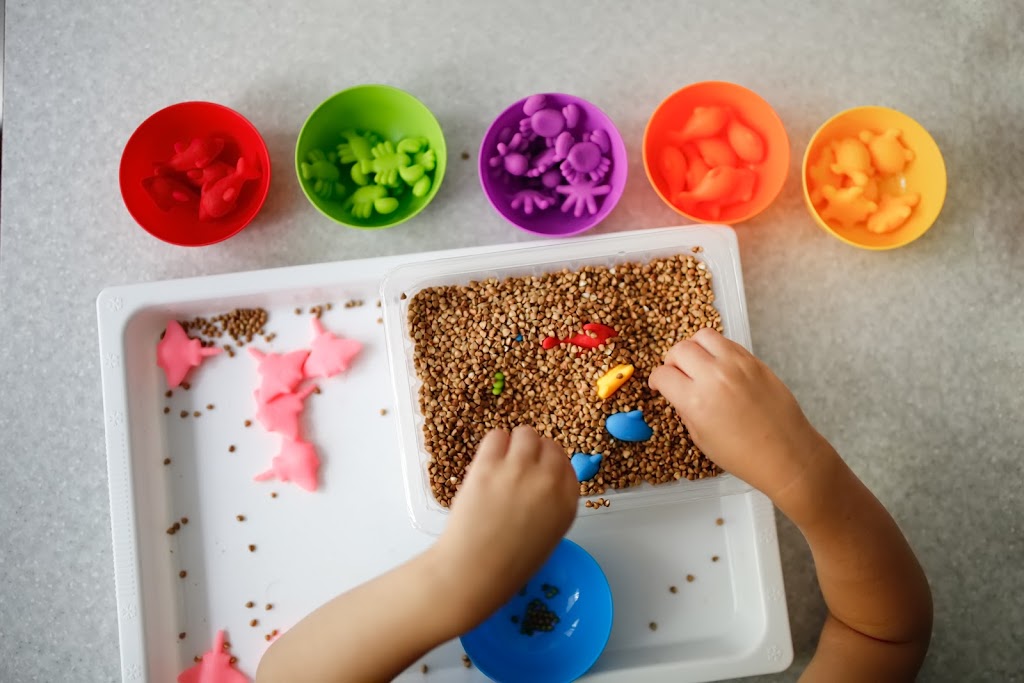 New Sprout Child Care Centre | 1647 Coleman St, North Vancouver, BC V7K 1X2, Canada | Phone: (604) 306-5301