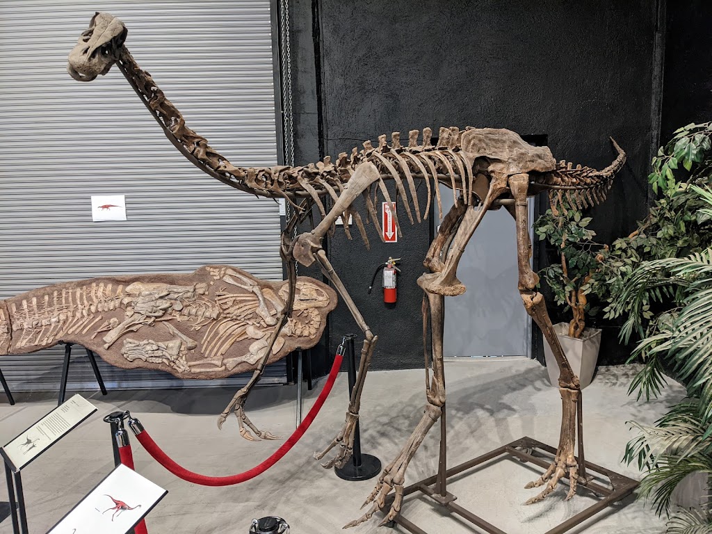 Dino Lab Inc. | 491 Dupplin Rd #2, Victoria, BC V8Z 1B8, Canada | Phone: (778) 966-3466