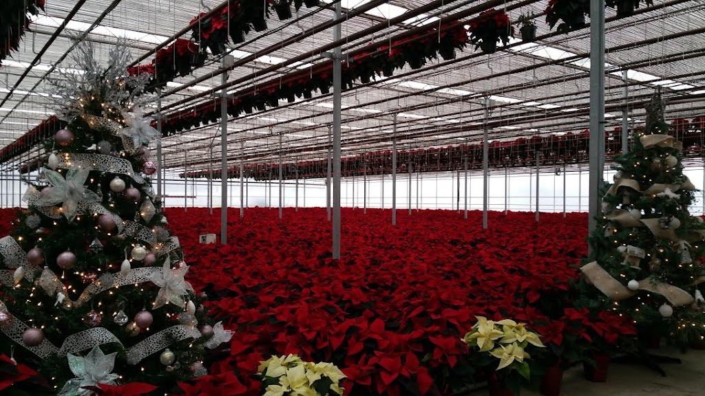 Forest Glen Greenhouse | 664 Brentwood Rd, Brookfield, NS B0N 1C0, Canada | Phone: (902) 673-3387