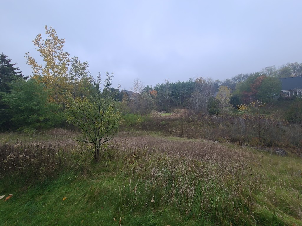 Max Storey Park | 162 Dunbar St, Guelph/Eramosa, ON N0B 2K0, Canada | Phone: (519) 856-9596