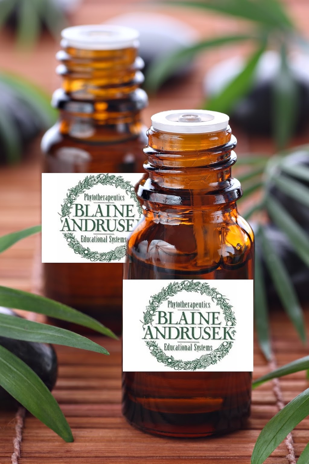 Salus Wellness Center Inc. | 116 Government Rd Unit 1, Black Diamond, AB T0L 0H0, Canada | Phone: (403) 933-3374