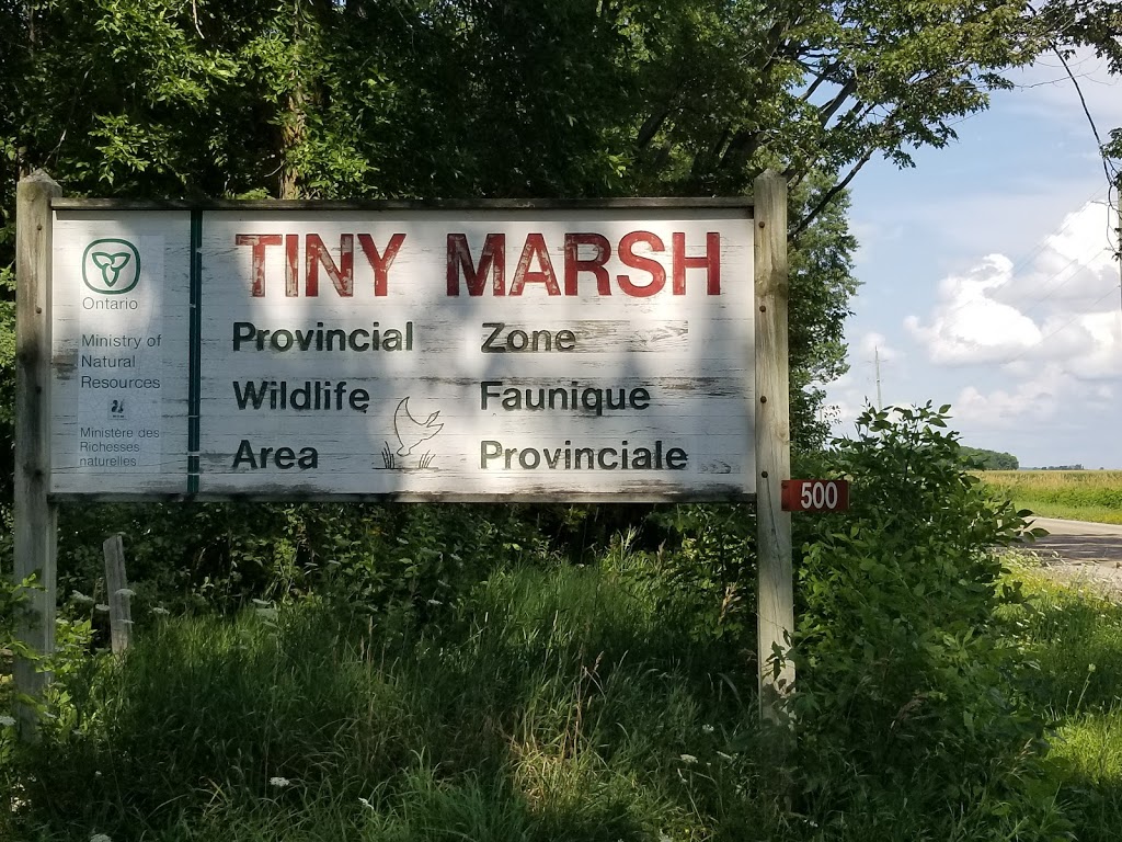 Tiny Marsh Provincial Wildlife Area | 500 Tiny Flos Townline, Elmvale, ON L0L 1P0, Canada | Phone: (705) 322-2200