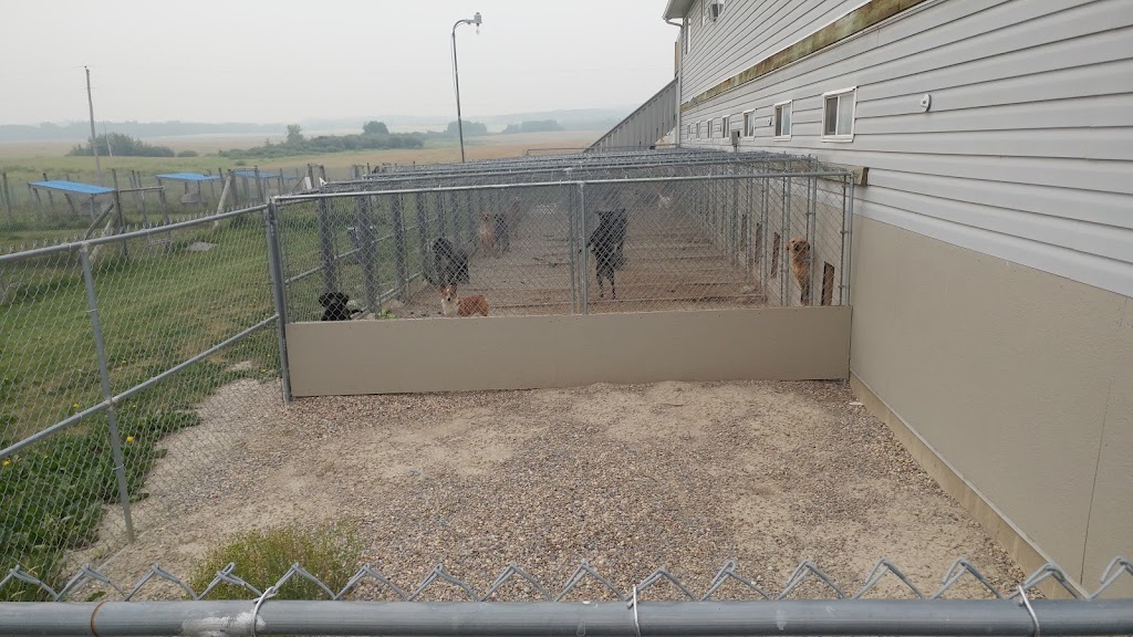 Beinnein Kennels Ltd | 85067 169th Ave W, Priddis, AB T1S 0Z8, Canada | Phone: (403) 931-3110