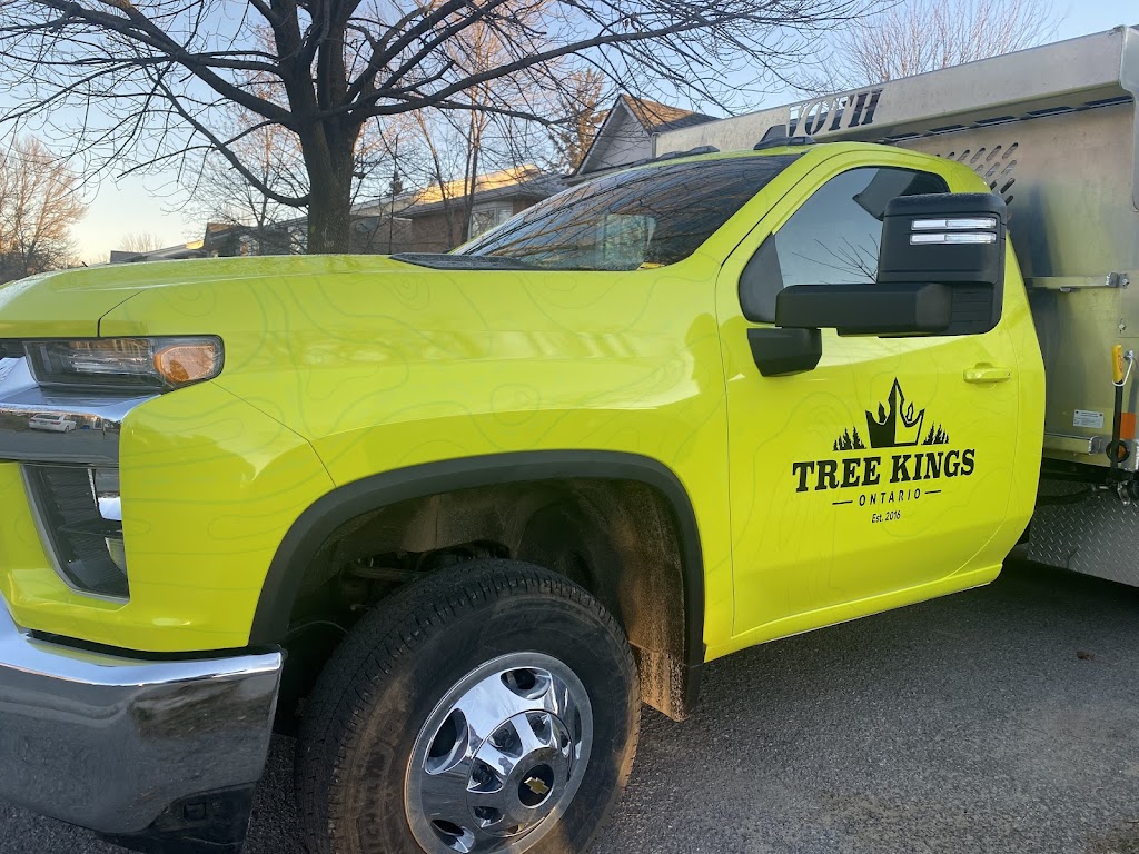 TreeKings Arboriculture Inc. | 1414 Caribou Rd, Minden Hills, ON K0M 1S0, Canada | Phone: (705) 457-5716
