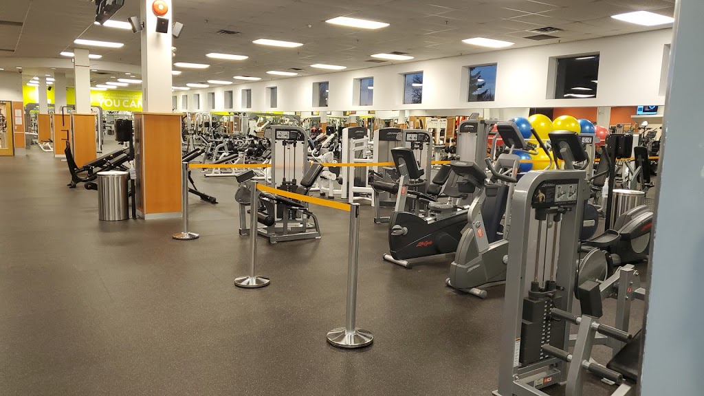 Fit4Less | 243 King St E, Bowmanville, ON L1C 3X1, Canada | Phone: (905) 623-9977