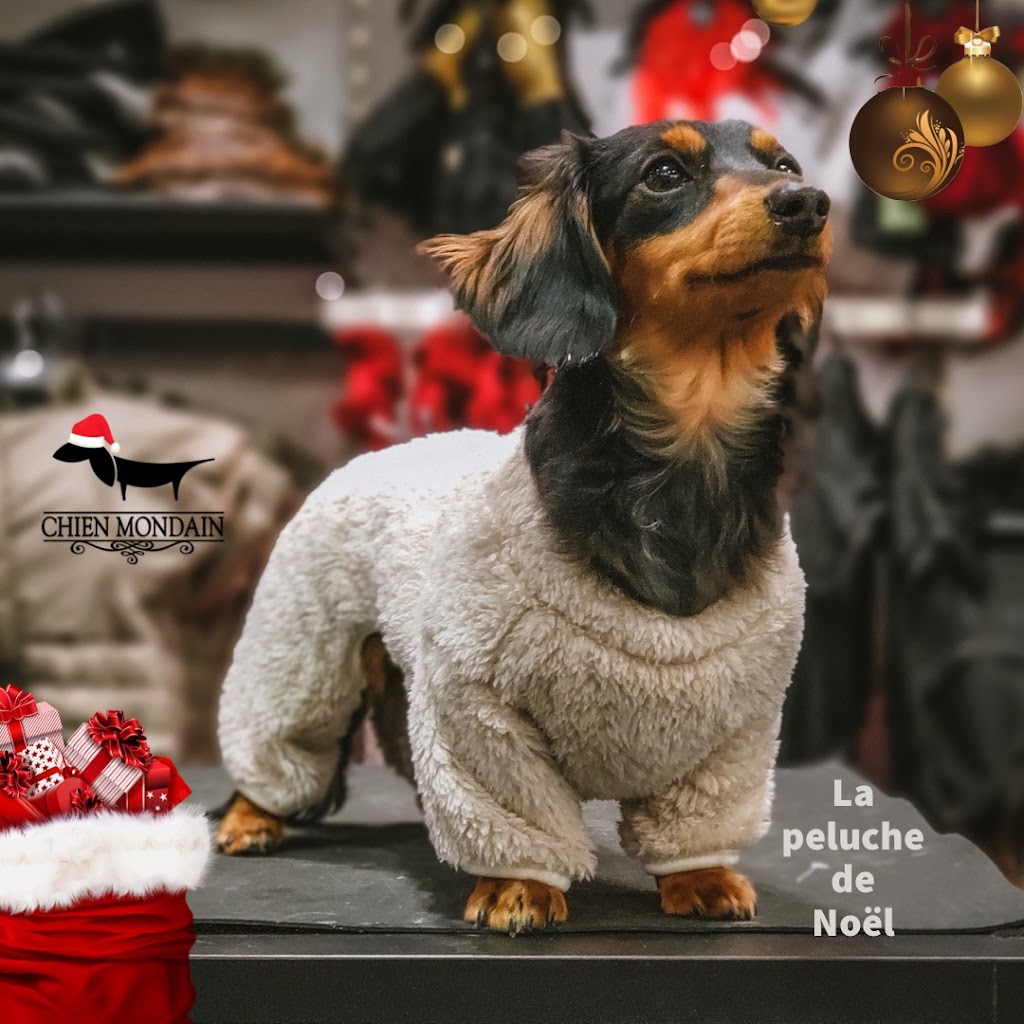 Chien Mondain - Mode Canine | 2600 Boulevard Laurier, Place de la Cité, Québec, QC G1V 4T3, Canada | Phone: (418) 527-2226