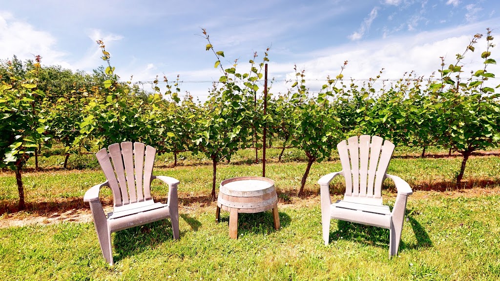Sainte-Famille Wines Ltd | 11 Dudley Park Ln, Falmouth, NS B0P 1L0, Canada | Phone: (800) 565-0993
