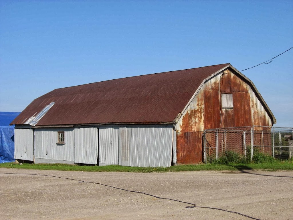Rons Painting | 596 Black School Rd, Woodville, ON K0M 2T0, Canada | Phone: (866) 248-8486