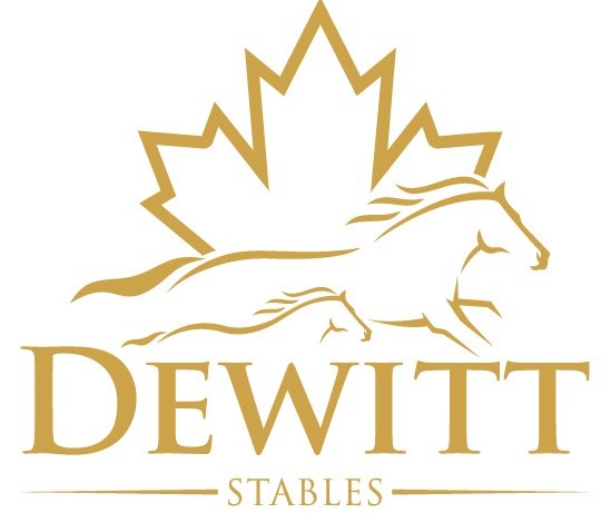 Dewitt Stables | 210 Washburn Island Rd, Little Britain, ON K0M 2C0, Canada | Phone: (416) 896-2658