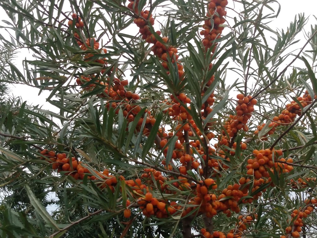 Les Jardins Merridor | 305 Chem. Lisgar, Ulverton, QC J0B 2B0, Canada | Phone: (819) 826-6254