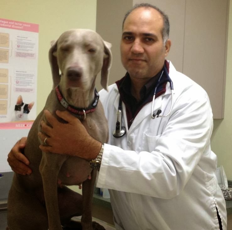 Richmond Veterinary House Call Services | 105 Lacewood Dr, Richmond Hill, ON L4S 0E6, Canada | Phone: (647) 873-3194