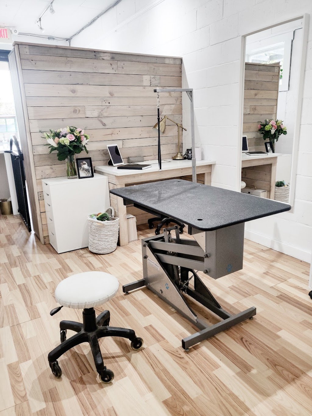 Babettes Barber - Dog Grooming | 459 Marine Dr, Gibsons, BC V0N 1V9, Canada | Phone: (604) 886-3507