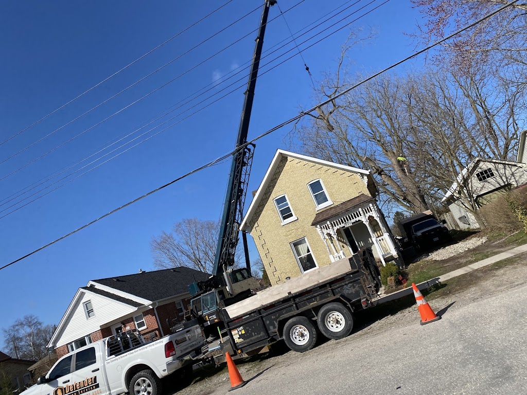 Defender Tree Service Ltd | 40385 Hensall Rd, Hensall, ON N0M 1X0, Canada | Phone: (226) 921-4986