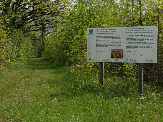 Cowan Nature Trail | Kinnear Sideroad, Severn, ON L0K 2C0, Canada