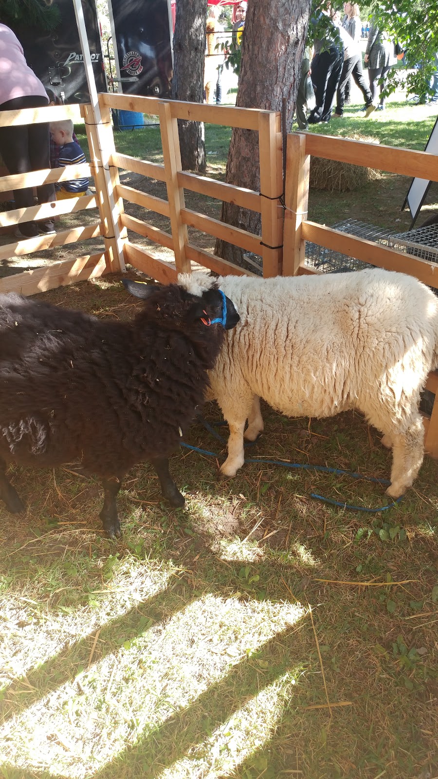 Anderson Farm Museum | 550 Regional Rd 24, Lively, ON P3Y 1M9, Canada | Phone: (705) 674-4455 ext. 3966
