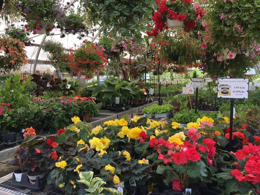 Bio Horticentre Méristème | 235 Chemin Eardley, Gatineau, QC J9J 2Y8, Canada | Phone: (819) 684-6969