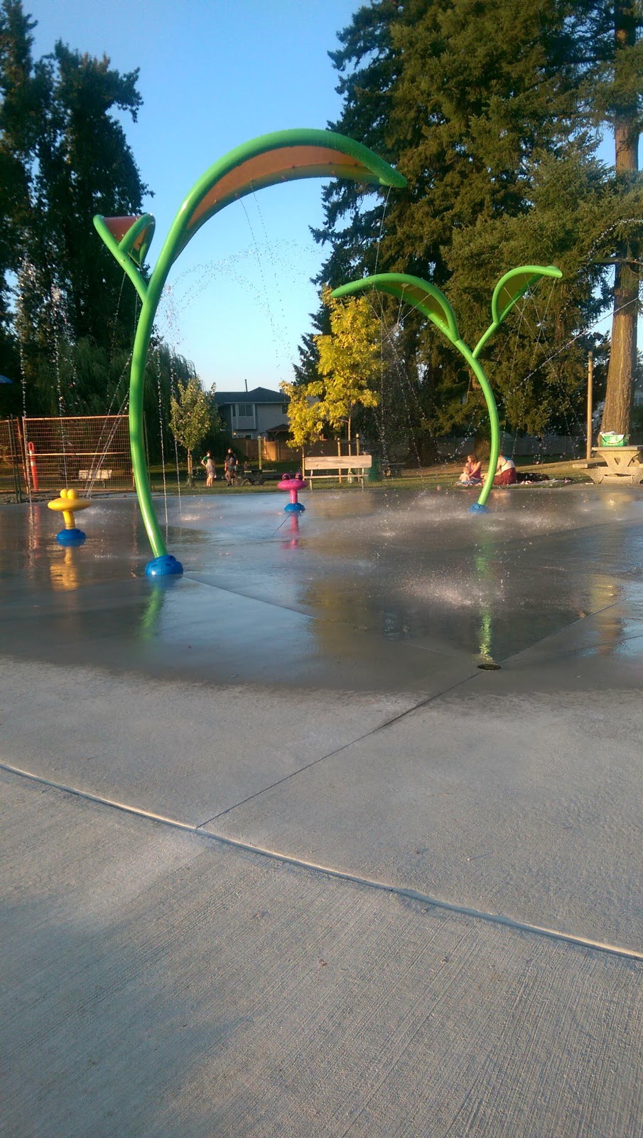 Philip Jackman Park | 27044-27130 32 Ave, Aldergrove, BC V4W 3H6, Canada | Phone: (604) 534-3211