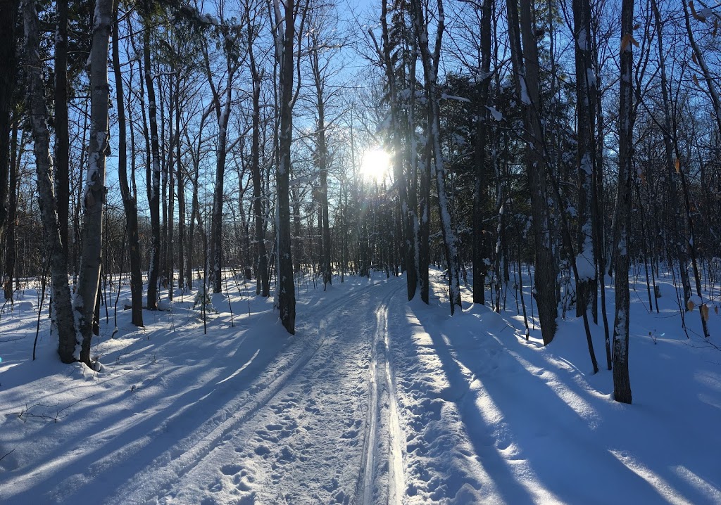 Boisé des Compagnons-de-Cartier | Chemin des Quatre-Bourgeois, Québec, QC G1X 3Z6, Canada | Phone: (418) 528-0773