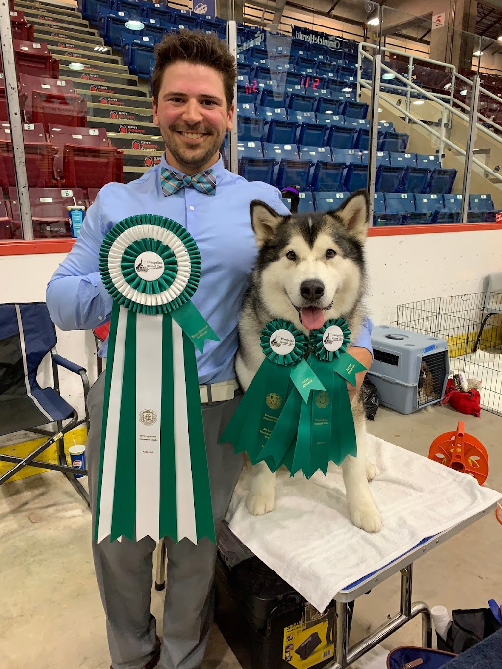 NovaMal Alaskan Malamutes | 12 Atlantic View Dr, Lawrencetown, NS B2Z 1R4, Canada | Phone: (902) 441-1981