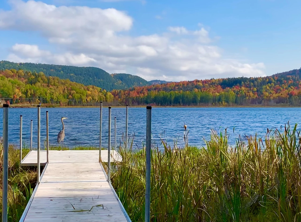 Seigneurie du Lac Meduse en Mauricie | 8 Chem. de la Colline, Saint-Roch-de-Mékinac, QC J0V 1P0, Canada | Phone: (514) 814-2723